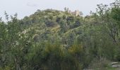 Randonnée Marche La Palud-sur-Verdon - chateau vieux pavillon 20kms 870m - Photo 7