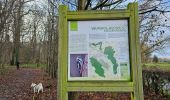 Trail Walking Voeren - Veurbos - Roodbos - Photo 10