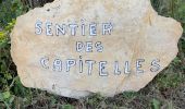 Tour Wandern Bernis - Capitelles de Bernis - Photo 1
