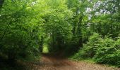 Trail Mountain bike Caen - sortie dans les marais de vimont  - Photo 2