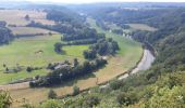 Trail Walking Esneux - ROCHE AUX FAUCONS - Photo 1