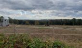 Tour Wandern Andenne - Geron(Andenne) -   Surlemez(Couthuin) circuit - Photo 16