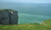 Tocht Stappen Étretat - Etretat - Yport par le GR 21 - Photo 6