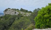 Tour Wandern Ollioules - Châteauvallon - Ollioules - Photo 14