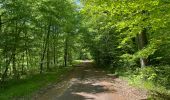 Trail Walking Compiègne - en Forêt de Compiègne_50_les Routes des Beaux Monts, de Morpigny et des Nymphes - Photo 9