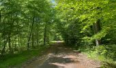 Tour Wandern Compiègne - en Forêt de Compiègne_50_les Routes des Beaux Monts, de Morpigny et des Nymphes - Photo 9