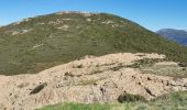 Randonnée Marche Appietto - Mont Gozzi en partant de la chapelle San Chirgu d'Appieto - Photo 11