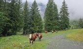 Randonnée Marche Passy - J10 - R8 - Plaine Joux - Les Ayères - Lac Vert  - Photo 7