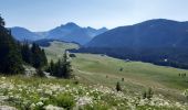 Percorso Marcia Glières-Val-de-Borne - pas du roc depuis glières  - Photo 6