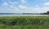 Randonnée Marche Huisnes-sur-Mer - Huisnes-sur-Mer - vue Mont-St-Michel - Pointe de Roche Torin - 14km 75m 4h30 (45mn) - 2017 06 26 - Photo 13