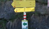 Tour Zu Fuß Sankt Veit im Pongau - Urpass-Gamskögerl-Hochegg - Photo 4