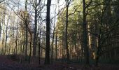 Tour Wandern Hoeilaart - Hoeilaart-Tervuren 2020 01 21 Groene Gordel 3 - Photo 16