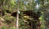 Tour Wandern Celles-sur-Plaine - celles sur plaine - Photo 7