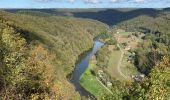 Randonnée Marche Vresse-sur-Semois - Semois 1 - Photo 8