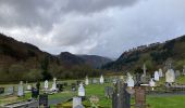 Tocht Stappen The Municipal District of Wicklow - Glendalough  - Photo 3
