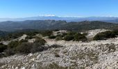 Tour Wandern Opoul-Périllos - Opium pétillons - Photo 14