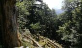 Trail Walking La Bresse - Kastelberg des pierres, des lacs, des panoramas magnifiques  - Photo 12