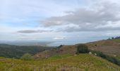 Tour Wandern Collioure - commioure entre pradells et consolation  - Photo 19