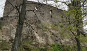 Randonnée Marche Andlau - boucle andlau, château d'andlau, château de spersbourg, andlau  - Photo 3