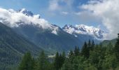 Tour Wandern Chamonix-Mont-Blanc - Aiguille de Posettes et Tête de Balme - Photo 12