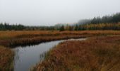 Trail Walking La Roche-en-Ardenne - le marais - Photo 4