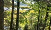 Randonnée Marche La Bresse - Lac de Lispach, la Roche des Bioquets, La Tête de Grouvelin - Photo 7