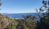 Tour Wandern Théoule-sur-Mer - Théoule, le rocher des Monges, N.D d'Afrique - Photo 19