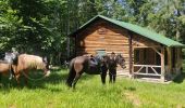 Trail Horseback riding Lutzelhouse - 2021-07-18 Journée Le petit Wisches Le Noll - Photo 2