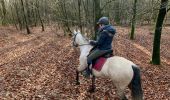 Randonnée Randonnée équestre Habay - Forêt de Rulles - Photo 6