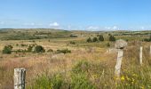 Trail Walking Grandvals - Grand bals les qu’âtres hameaux - Photo 3