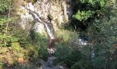 Tour Wandern Malmedy - La cascade du Bayehon  - Photo 12