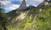 Trail Walking Saint-Martin-de-Clelles - Goût ARGOUD 24-05-2021 - Photo 15