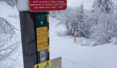 Randonnée Raquettes à neige Lans-en-Vercors - 5,8km R Lans-en-V Vertige des Cimes AR - Photo 3