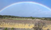 Trail Walking Laure-Minervois - Laure Minervois les Capitelles - Photo 3