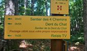 Excursión Senderismo La Chapelle-du-Mont-du-Chat - Le col du chat en savoie - Photo 12