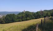 Trail Walking Montfaucon - Montfaucon : son château, ses forts - Photo 10