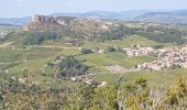 Excursión Senderismo Charnay-lès-Mâcon - Loché CLoisirs - Photo 2