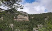 Tour Wandern Le Rozier - circuit Brunet et partie du circuit de Cassagnes le Rozier - Photo 14