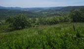 Randonnée Marche nordique Olmet-et-Villecun - Villecun Lavalette  - Photo 2