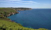 Trail Walking Crozon - Circuit du cap de la Chèvre 03-07-2019 - Photo 2