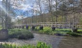 Trail Walking Rochefort - rando belvaux 28-04-2023 - Photo 10