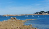 Trail Walking Plougrescant - GR_34_DG_28_Plougrescant_Perros-Guirec_20240914 - Photo 9