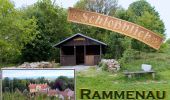 Trail On foot Rammenau - violette Rammenauer Rundwanderung - Photo 3