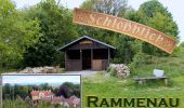 Tocht Te voet Rammenau - violette Rammenauer Rundwanderung - Photo 3