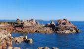 Tour Wandern Perros-Guirec - LE SENTIER DES DOUANIERS  - Photo 7