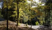 Randonnée Marche Remiremont - Remiremont - baraque des gardes - étang du Villerain - cascade du Géhart - étangs et prieuré d'Hérival  - Photo 12