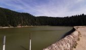 Randonnée Marche Le Valtin - lac Vert lac des truites. - Photo 5