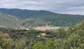 Trail Walking Amélie-les-Bains-Palalda - 20210724 Amélie les bains - Photo 1
