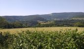 Randonnée Marche Cour-Saint-Maurice - battenans - Photo 10