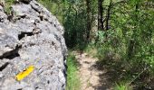 Randonnée A pied Gordes - les gorges de la Véroncle - Photo 18
